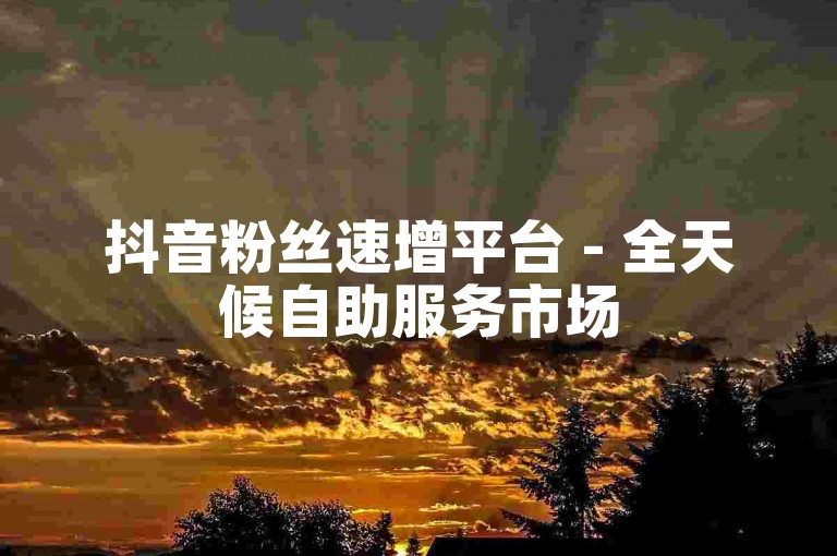 抖音粉丝速增平台 - 全天候自助服务市场