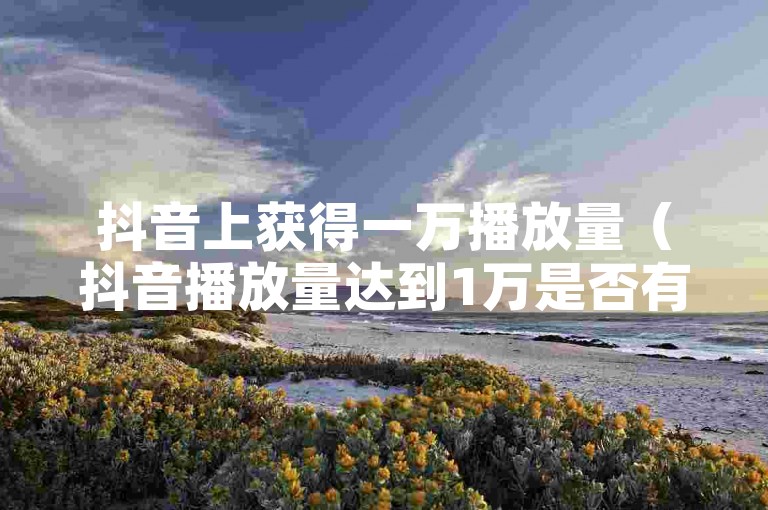 抖音上获得一万播放量（抖音播放量达到1万是否有收益）。