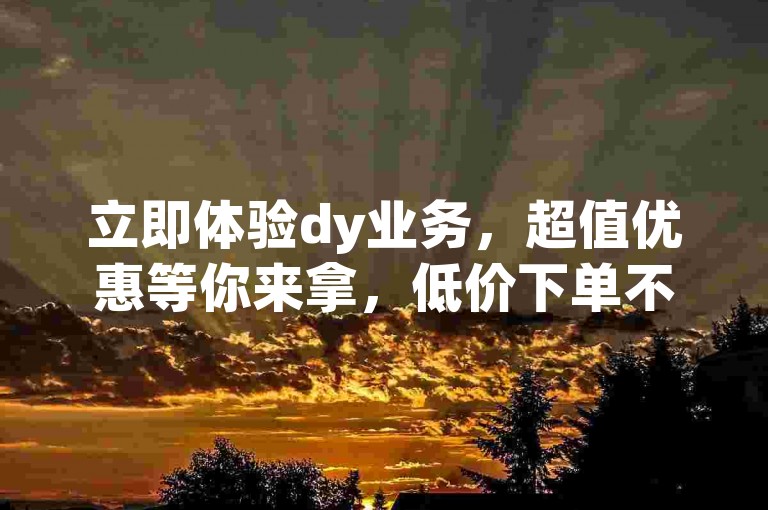 立即体验dy业务，超值优惠等你来拿，低价下单不容错过。