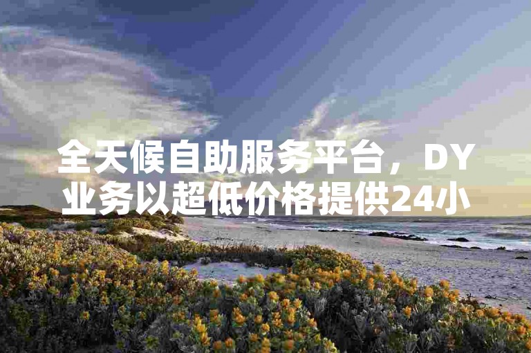 全天候自助服务平台，DY业务以超低价格提供24小时下单支持。