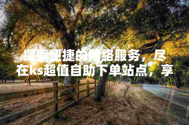 探索便捷的网络服务，尽在ks超值自助下单站点，享受全天候快手订单处理与B站免费点赞服务。