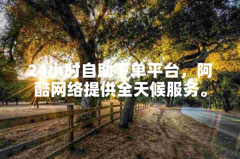 24小时自助下单平台，阿酷网络提供全天候服务。