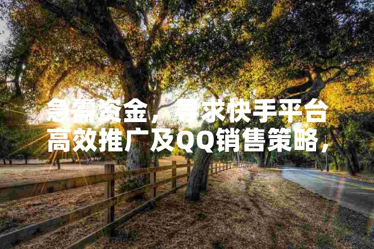 急需资金，寻求快手平台高效推广及QQ销售策略，同时提供低价业务自助服务与抖音高价值ID号码。