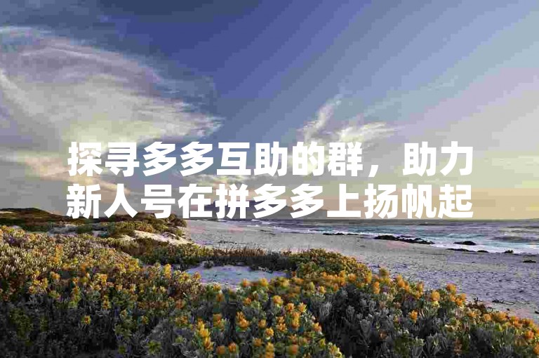 探寻多多互助的群，助力新人号在拼多多上扬帆起航。