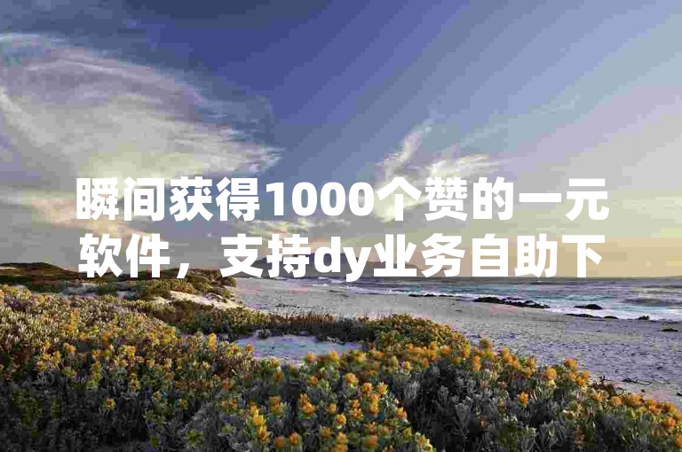 瞬间获得1000个赞的一元软件，支持dy业务自助下单及快手点赞交易。