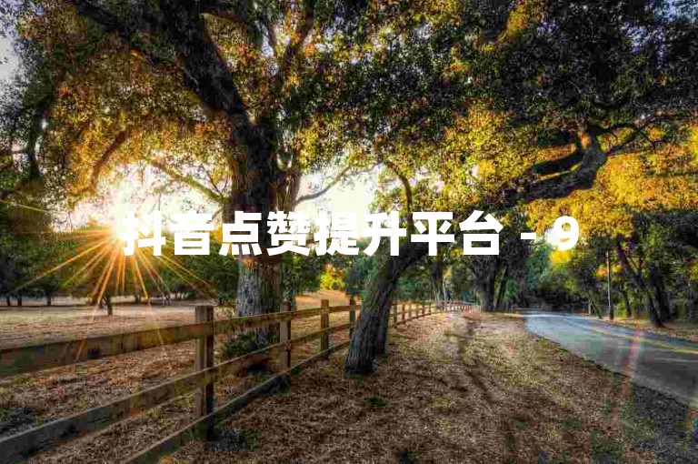 抖音点赞提升平台 - 95社区自助服务网站
