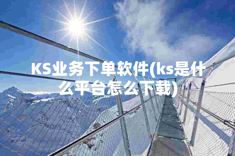 KS业务下单软件(ks是什么平台怎么下载)