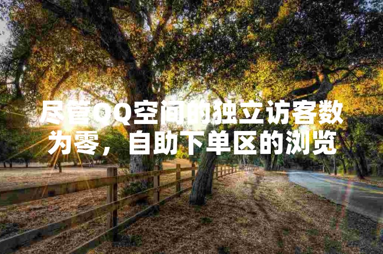 尽管QQ空间的独立访客数为零，自助下单区的浏览量却意外地高，这或许是因为拼多多的助力购买技巧和抖音一元购百赞服务吸引了大量寻求网络互助的用户。