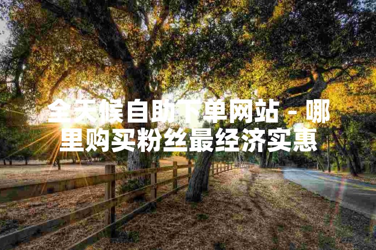 全天候自助下单网站 - 哪里购买粉丝最经济实惠