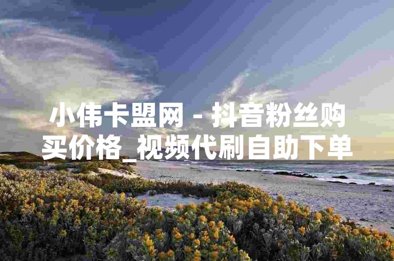 小伟卡盟网 - 抖音粉丝购买价格_视频代刷自助下单平台