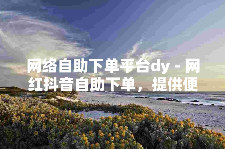 网络自助下单平台dy - 网红抖音自助下单，提供便捷的在线服务体验。
