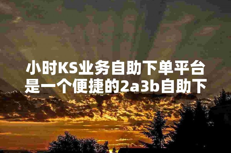 小时KS业务自助下单平台是一个便捷的2a3b自助下单系统，专为KS用户设计。