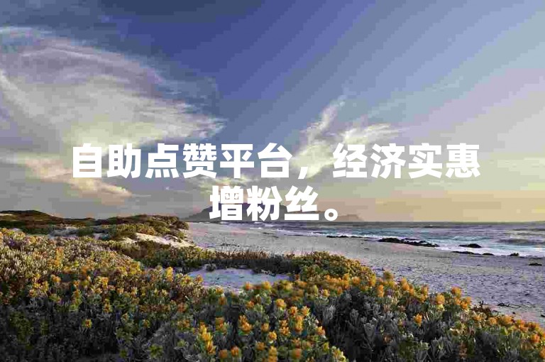 自助点赞平台，经济实惠增粉丝。