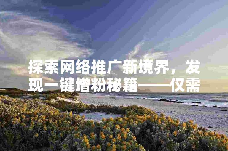 探索网络推广新境界，发现一键增粉秘籍——仅需1元即可拥有3000真实粉丝，稳定不掉粉！