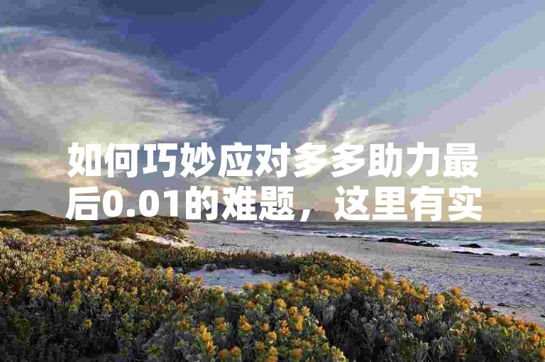 如何巧妙应对多多助力最后0.01的难题，这里有实用的策略与行动指南。