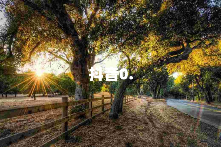 抖音0.5元秒赞平台 - douyin点赞业务自助下单系统。