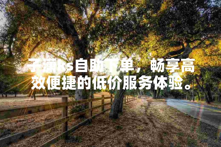 子潇ks自助下单，畅享高效便捷的低价服务体验。