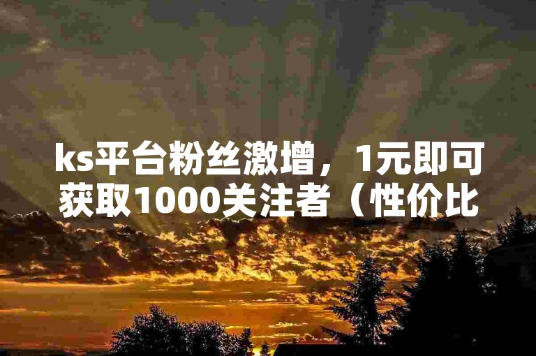ks平台粉丝激增，1元即可获取1000关注者（性价比之选，快速提升ks人气）