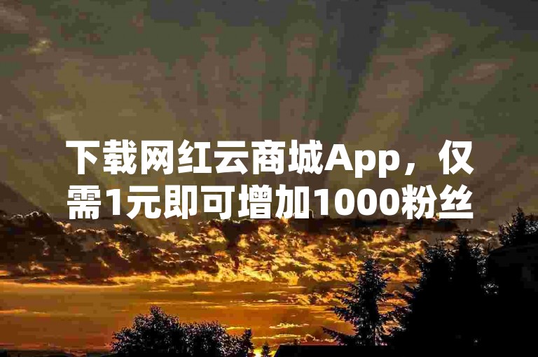 下载网红云商城App，仅需1元即可增加1000粉丝，享受在线下单的便利。