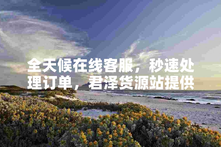 全天候在线客服，秒速处理订单，君泽货源站提供一站式快手点赞服务。