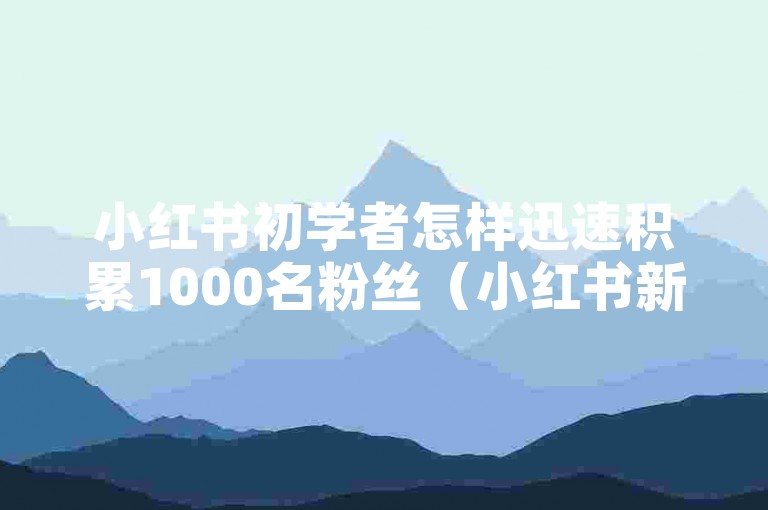 小红书初学者怎样迅速积累1000名粉丝（小红书新手如何快速吸引1000位关注者）。