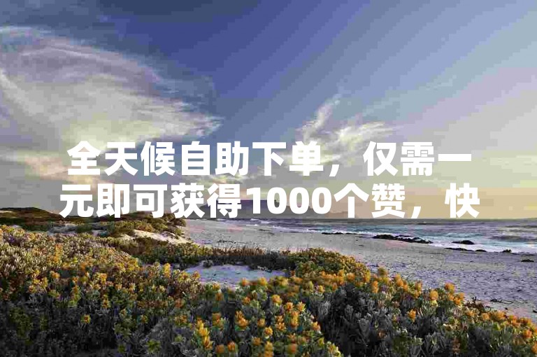 全天候自助下单，仅需一元即可获得1000个赞，快速到账。