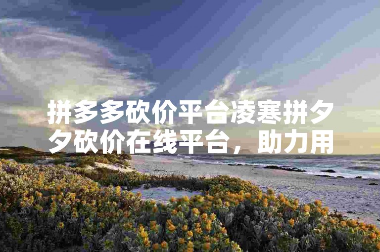 拼多多砍价平台凌寒拼夕夕砍价在线平台，助力用户轻松享受超值优惠。