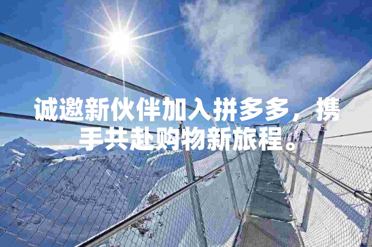 诚邀新伙伴加入拼多多，携手共赴购物新旅程。