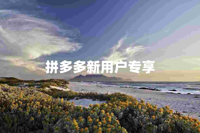 拼多多新用户专享500元提现助力群——拼多多新人助力群。
