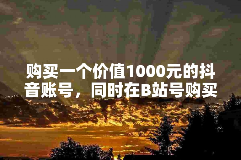 购买一个价值1000元的抖音账号，同时在B站号购买自动发卡网的服务。