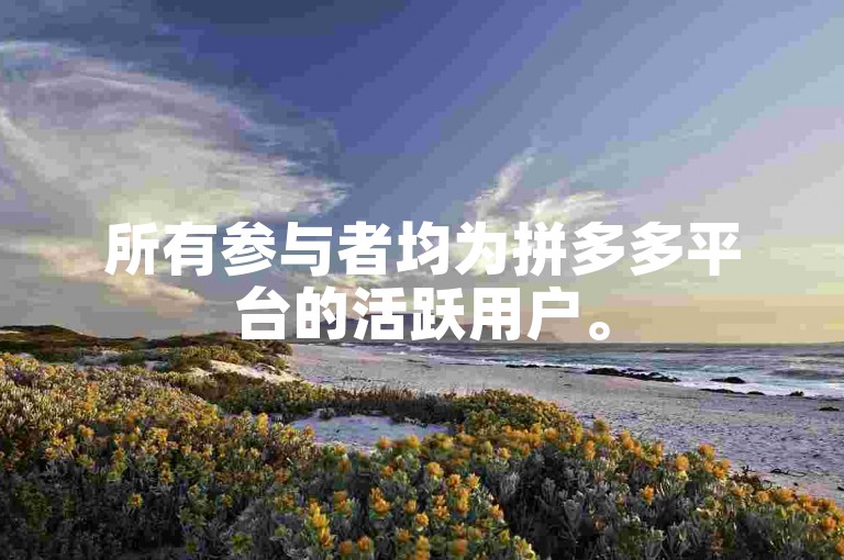 所有参与者均为拼多多平台的活跃用户。