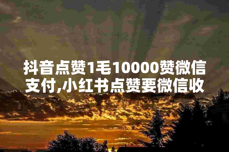 抖音点赞1毛10000赞微信支付,小红书点赞要微信收款吗 - 小红书赞24小时自助 - XH业务下单平台不掉粉