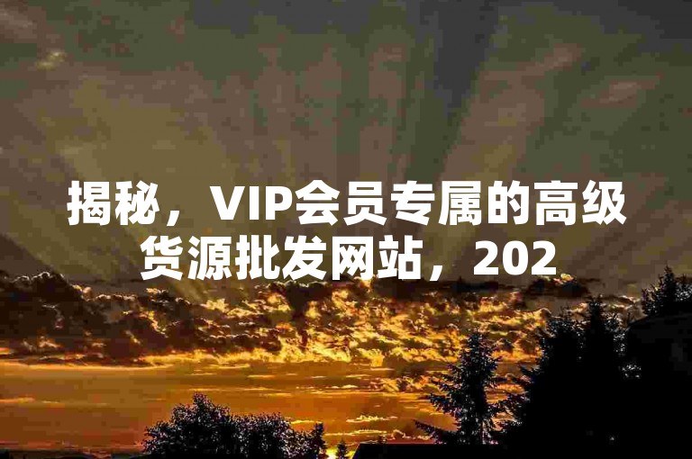 揭秘，VIP会员专属的高级货源批发网站，2025年必备技能！