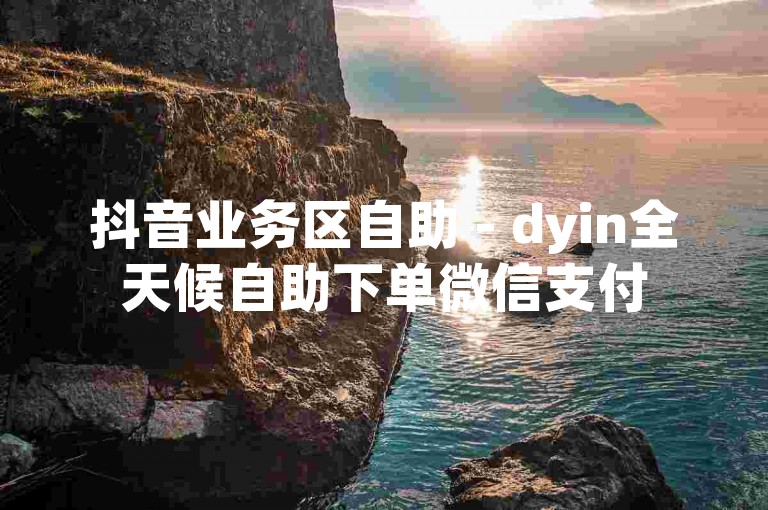 抖音业务区自助 - dyin全天候自助下单微信支付