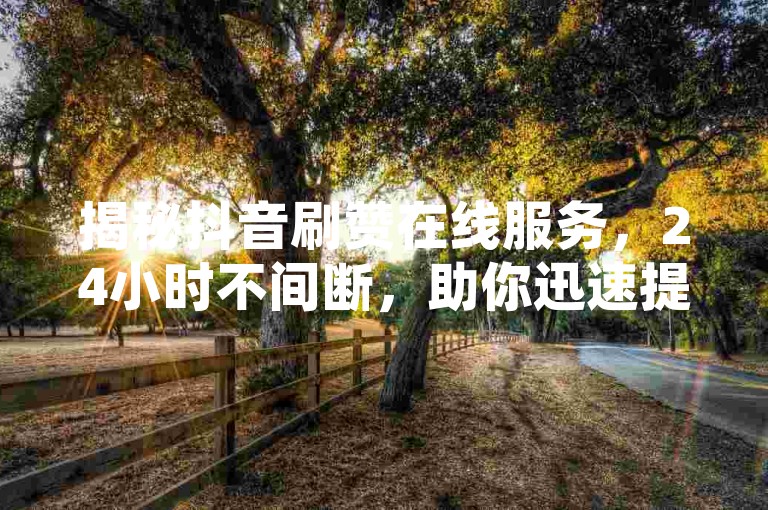 揭秘抖音刷赞在线服务，24小时不间断，助你迅速提升视频热度！