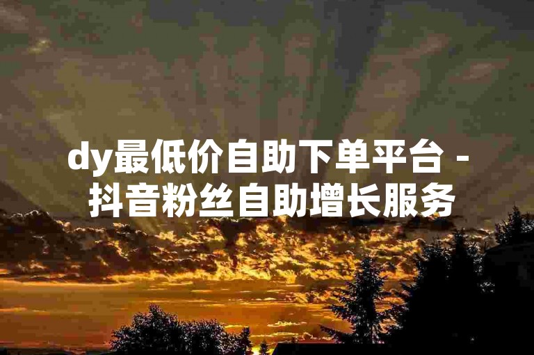 dy最低价自助下单平台 - 抖音粉丝自助增长服务