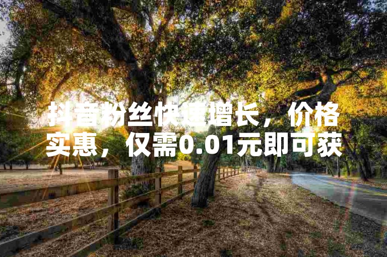 抖音粉丝快速增长，价格实惠，仅需0.01元即可获得100个点赞 - 快手点赞服务，每个赞只需几分钱。