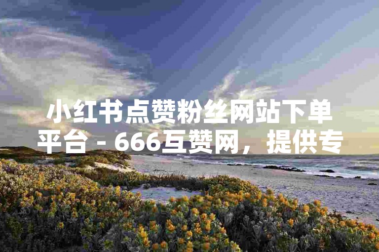 小红书点赞粉丝网站下单平台 - 666互赞网，提供专业的点赞和粉丝增长服务。