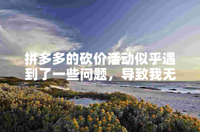 拼多多的砍价活动似乎遇到了一些问题，导致我无法成功助力好友。