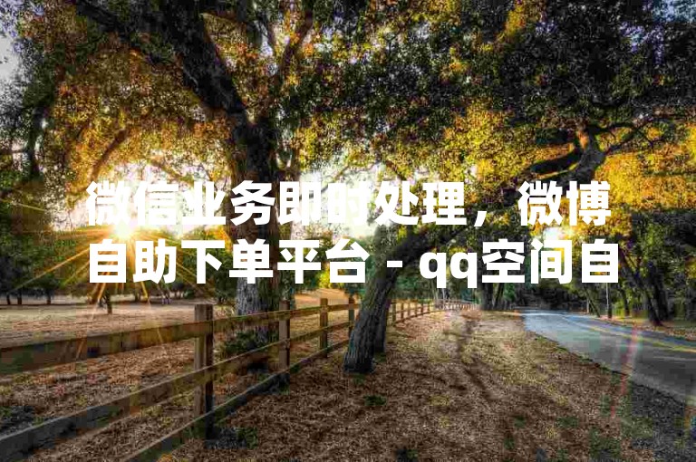 微信业务即时处理，微博自助下单平台 - qq空间自助服务商城 - 微信业务全天候自助下单。