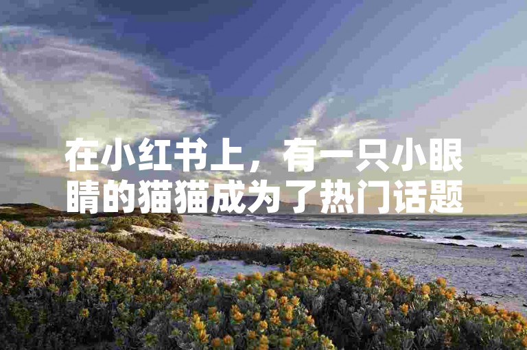 在小红书上，有一只小眼睛的猫猫成为了热门话题，吸引了众多用户的点赞和关注。