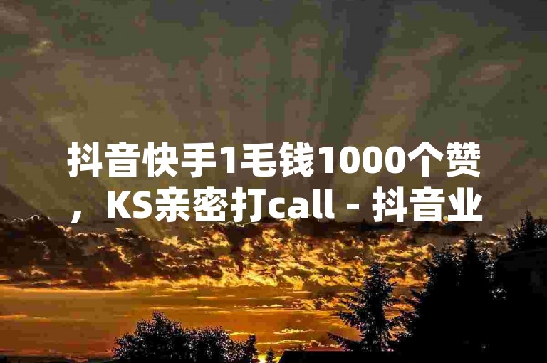 抖音快手1毛钱1000个赞，KS亲密打call - 抖音业务下单24小时最低价 - dy24小时在线下单惊喜不断！