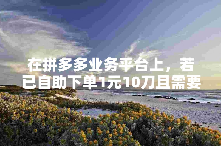 在拼多多业务平台上，若已自助下单1元10刀且需要取消，可按照平台规定的操作流程进行申请退款。