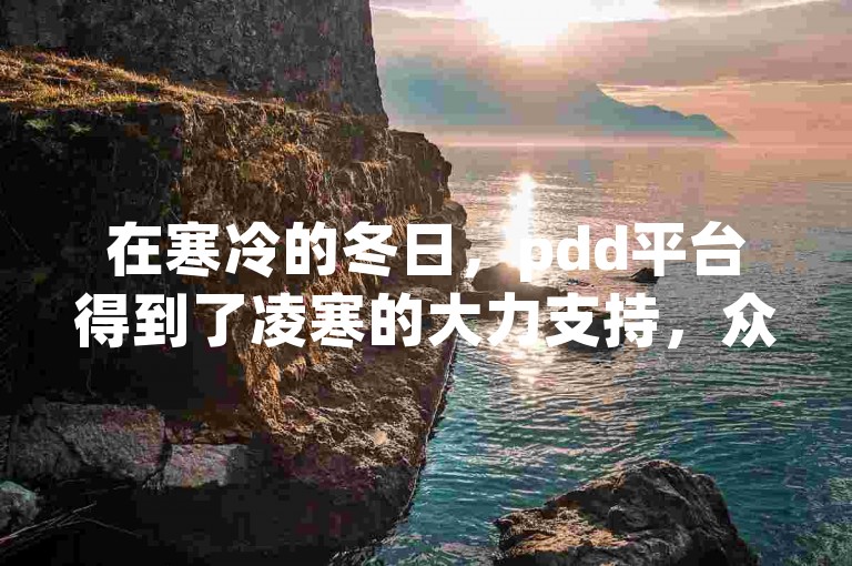 在寒冷的冬日，pdd平台得到了凌寒的大力支持，众多用户纷纷加入助力刷人的行列。