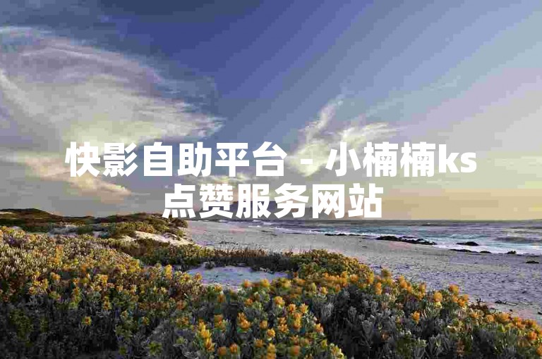 快影自助平台 - 小楠楠ks点赞服务网站