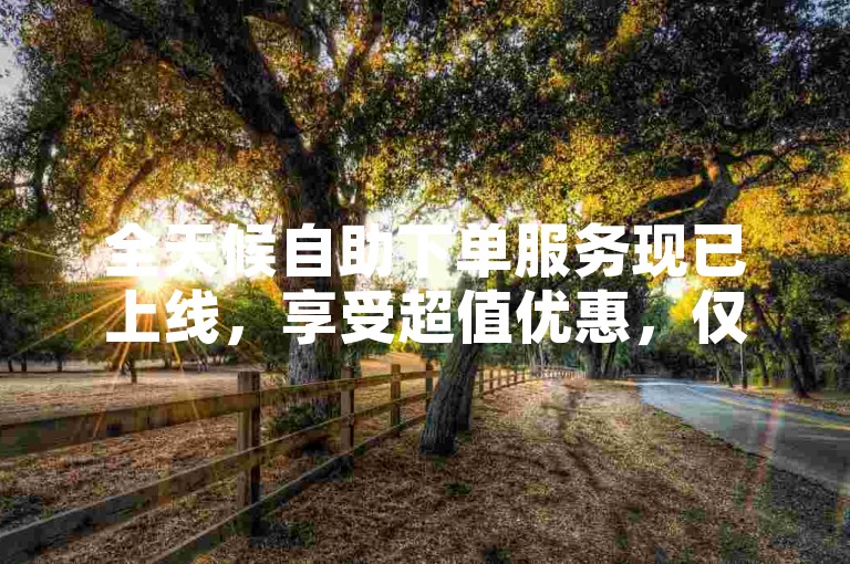 全天候自助下单服务现已上线，享受超值优惠，仅需0.5元起！