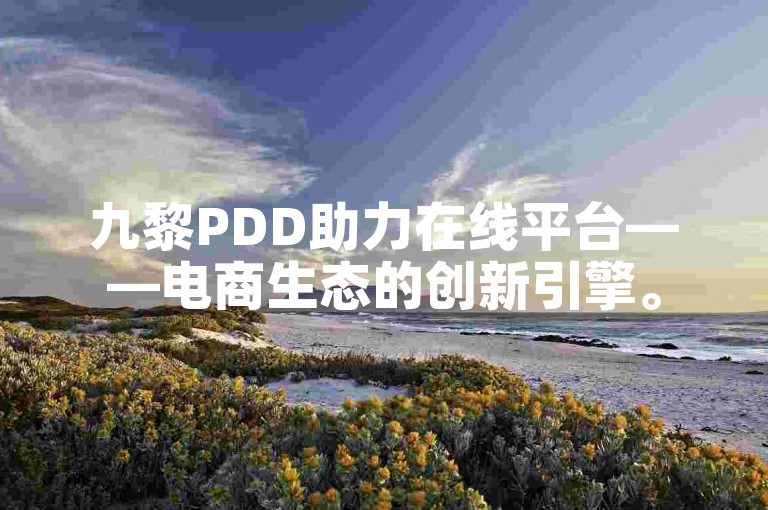 九黎PDD助力在线平台——电商生态的创新引擎。