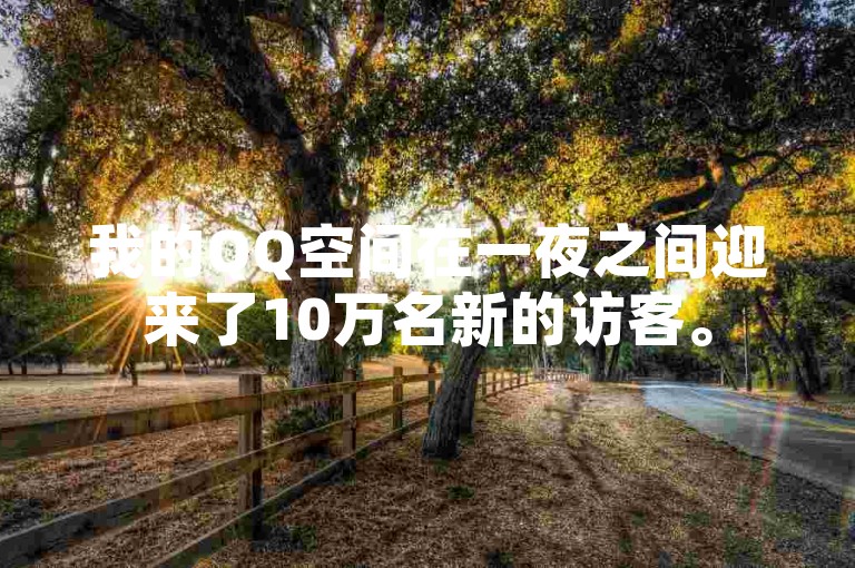 我的QQ空间在一夜之间迎来了10万名新的访客。