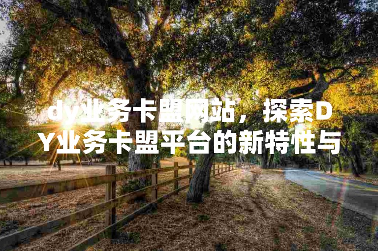 dy业务卡盟网站，探索DY业务卡盟平台的新特性与用户利益？