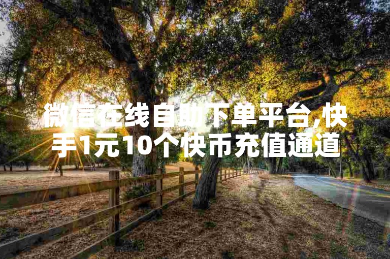 微信在线自助下单平台,快手1元10个快币充值通道 - 免费获取30个微信朋友圈点赞 - 3元200赞。